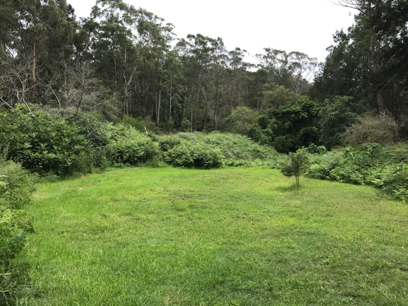 150 Lyrebird Ridge Road, Coolagolite NSW 2550