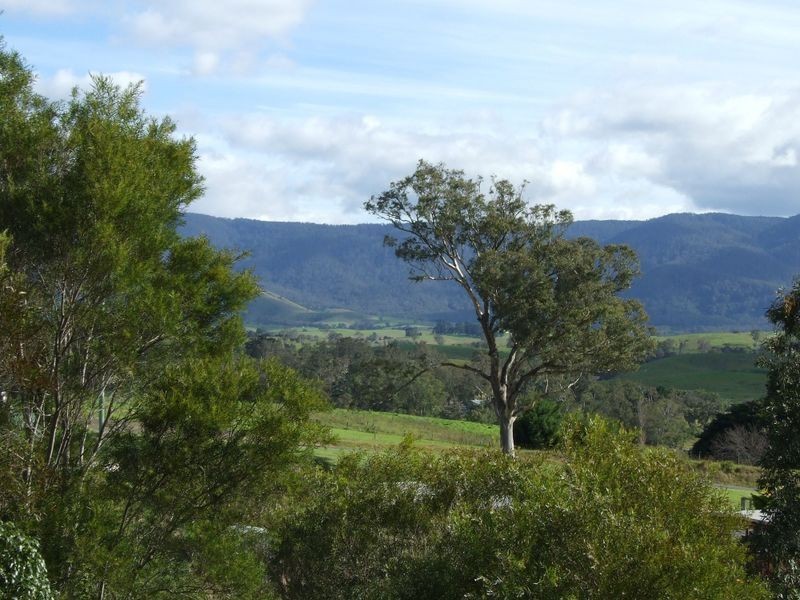 21 Loftus Street, Bemboka NSW 2550