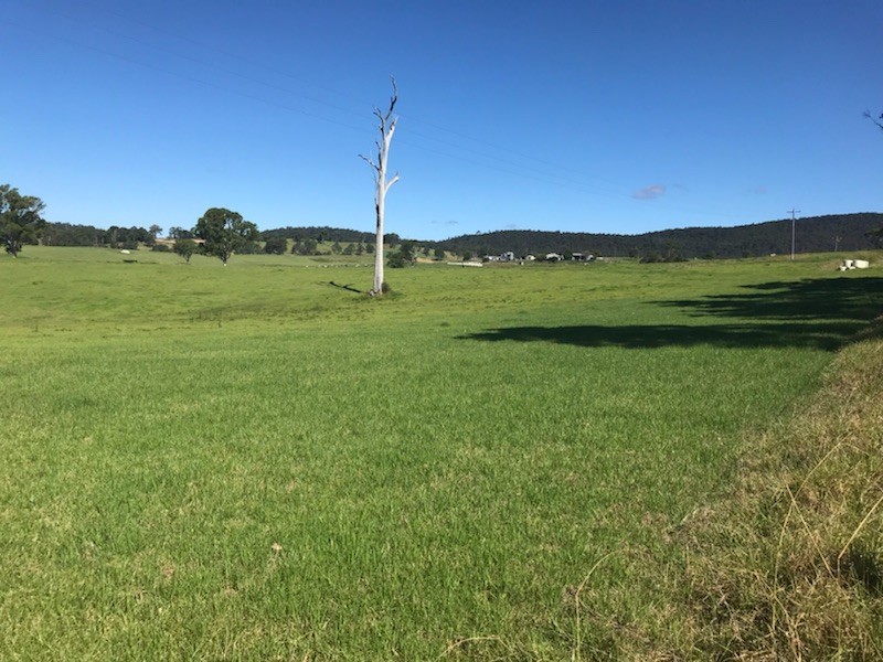 LOT 2161 Coolagolite Road, Coolagolite NSW 2550