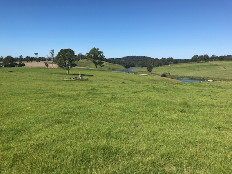 Lot 2162 Coolagolite Road, Coolagolite NSW 2550