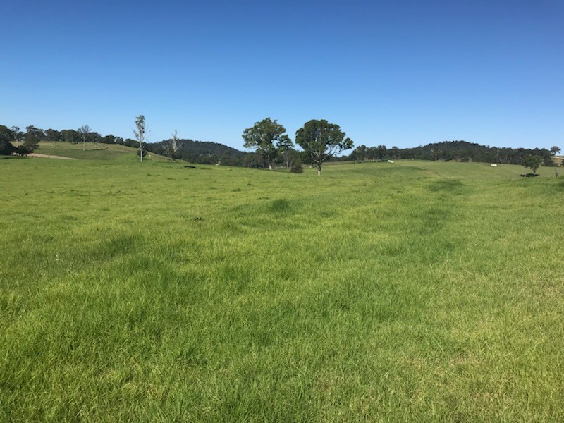 Lot 2162 Coolagolite Road, Coolagolite NSW 2550