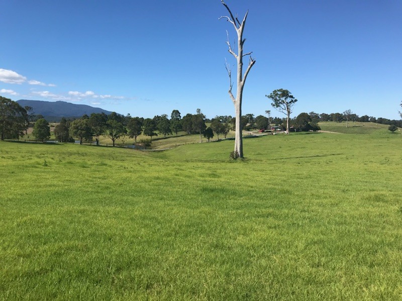 Lot 2162 Coolagolite Road, Coolagolite NSW 2550
