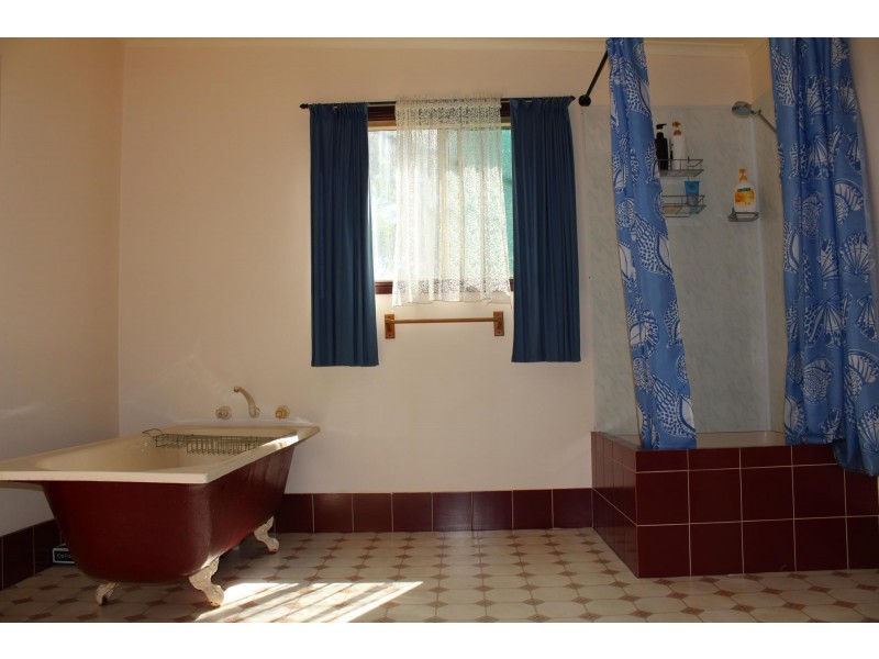 911 Candelo Wolumla Road, Wolumla NSW 2550