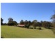 911 Candelo Wolumla Road, Wolumla NSW 2550