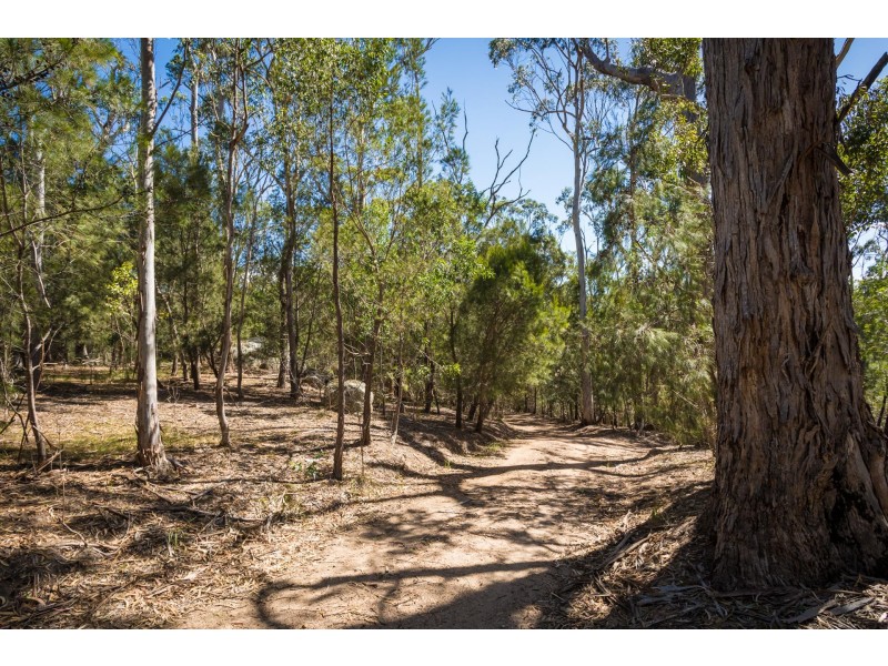 629 Warrigal Range Road, Brogo NSW 2550