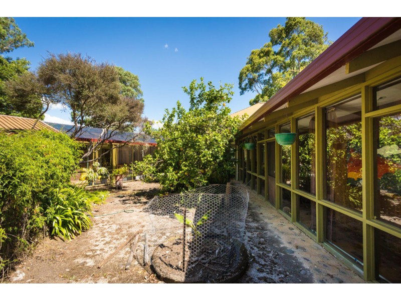 629 Warrigal Range Road, Brogo NSW 2550