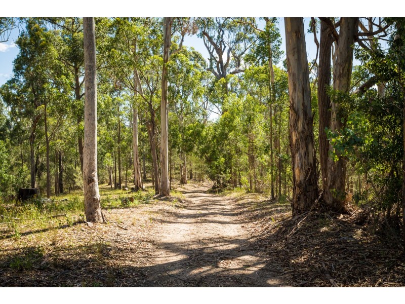 629 Warrigal Range Road, Brogo NSW 2550