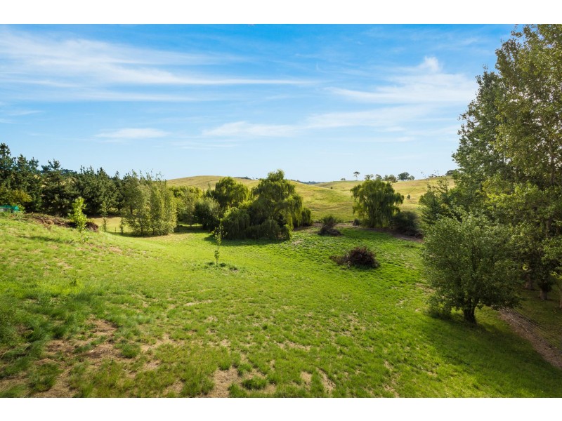 4 Wileys Lane, Candelo NSW 2550