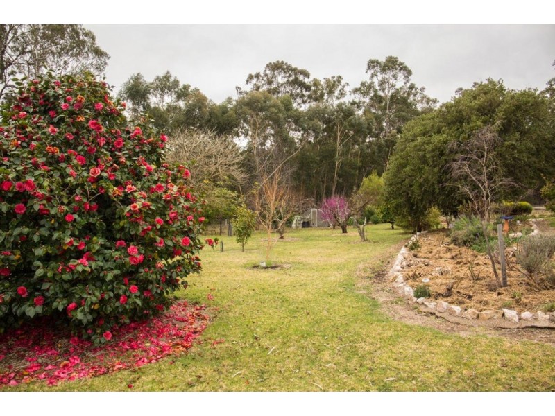 Wolumla NSW 2550
