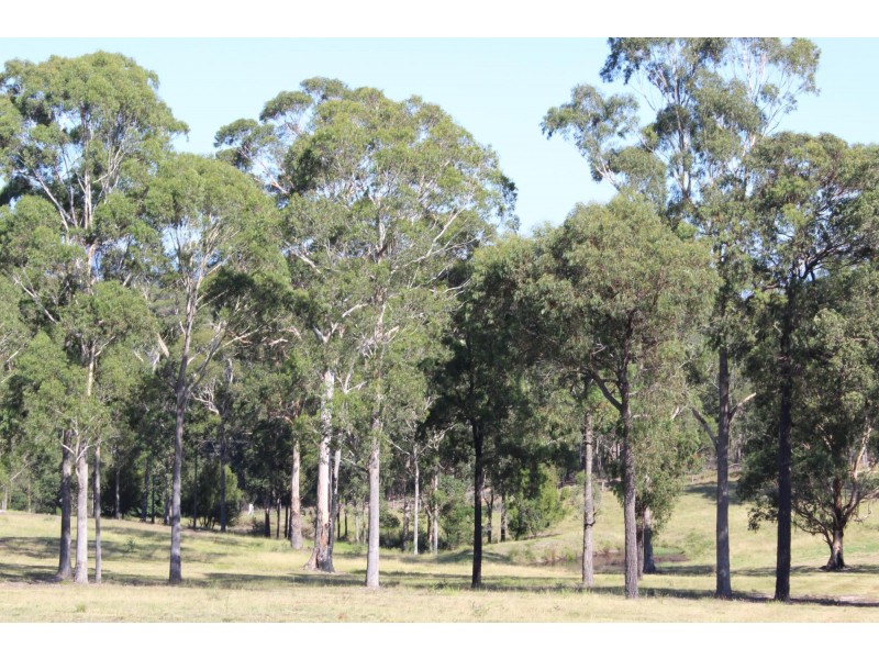 Wolumla NSW 2550