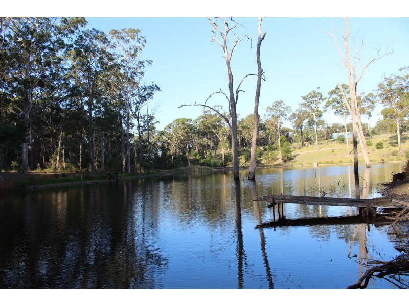 34 Lot Stafford Drive, Kalaru NSW 2550