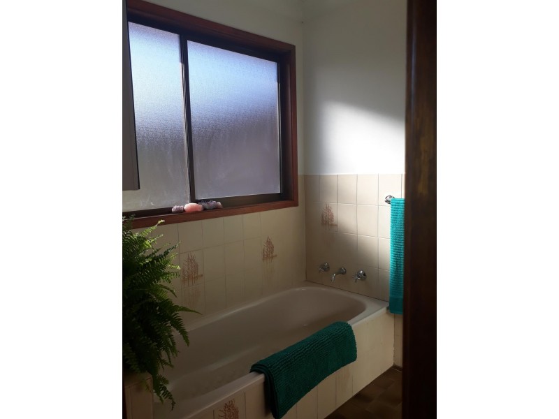 470 Wandella Road, Cobargo NSW 2550