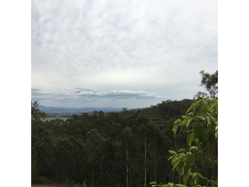 50 Jellat Way, Kalaru NSW 2550