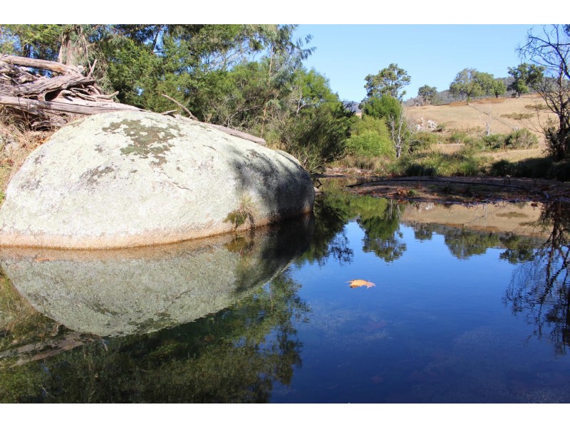 1844 Upper Brogo Rd, Brogo NSW 2550