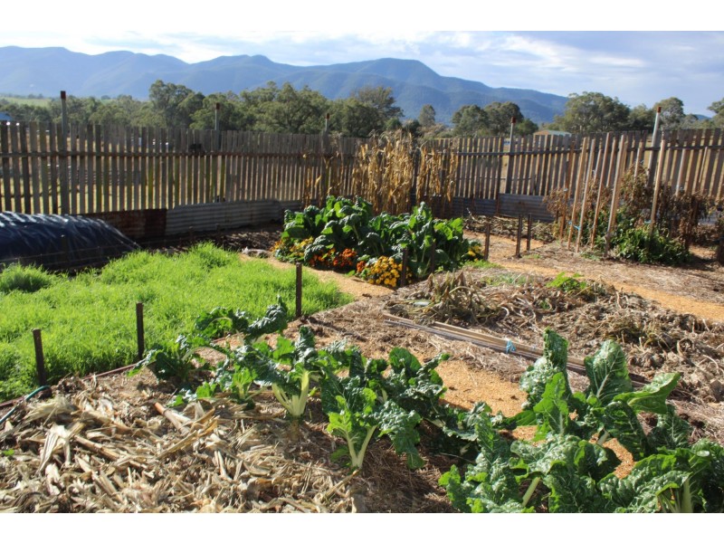 54 Robertson Street,, Bemboka NSW 2550