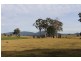 470 Wandella Road, Cobargo NSW 2550