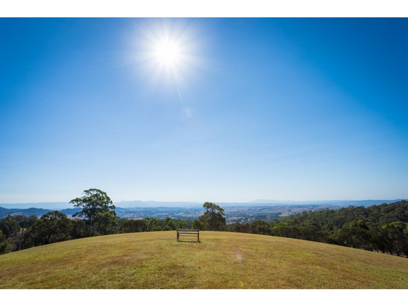 Lot 1339 Radium Ridge Road, Candelo NSW 2550