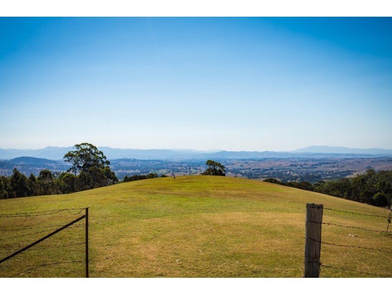 Lot 1339 Radium Ridge Road, Candelo NSW 2550