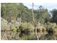 Lot 1 Tathra Bermagui Road, Murrah NSW 2550