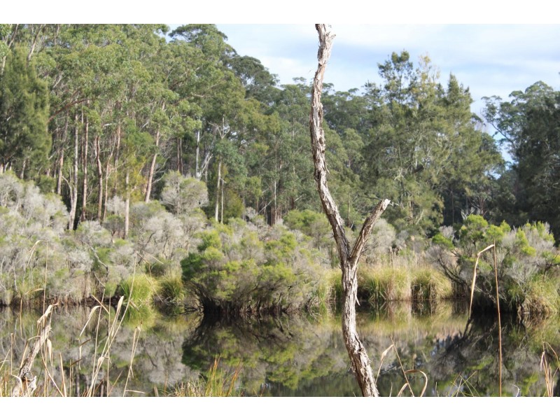 Lot 1 Tathra Bermagui Road, Murrah NSW 2550