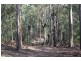 Lot 1 Tathra Bermagui Road, Murrah NSW 2550