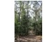 Lot 1 Tathra Bermagui Road, Murrah NSW 2550
