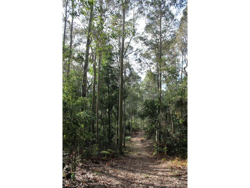 Lot 1 Tathra Bermagui Road, Murrah NSW 2550