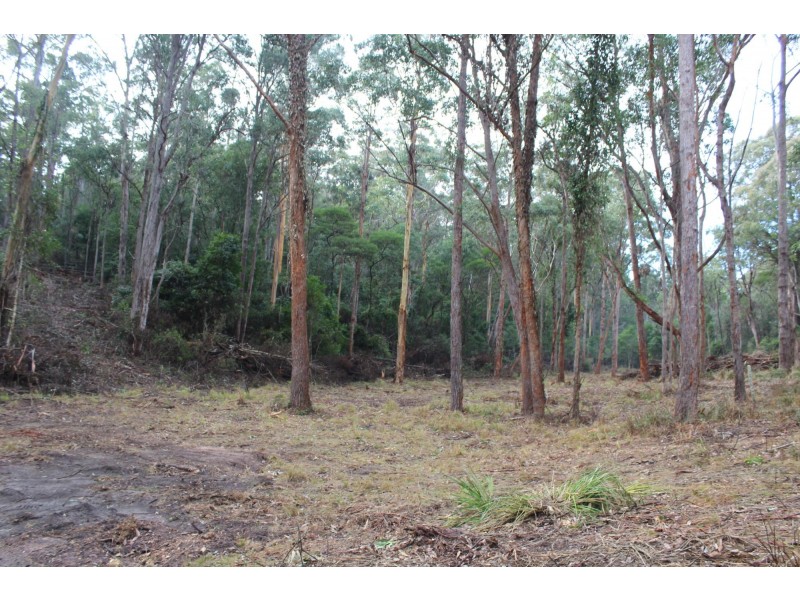 Lot 1 Tathra Bermagui Road, Murrah NSW 2550