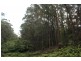 Lot 1 Tathra Bermagui Road, Murrah NSW 2550