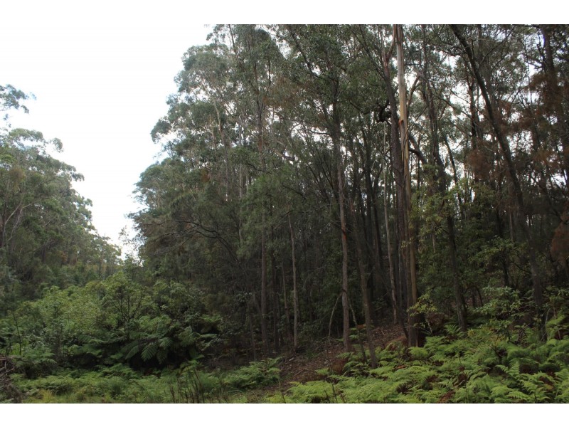 Lot 1 Tathra Bermagui Road, Murrah NSW 2550