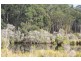 Lot 1 Tathra Bermagui Road, Murrah NSW 2550