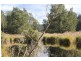 Lot 1 Tathra Bermagui Road, Murrah NSW 2550