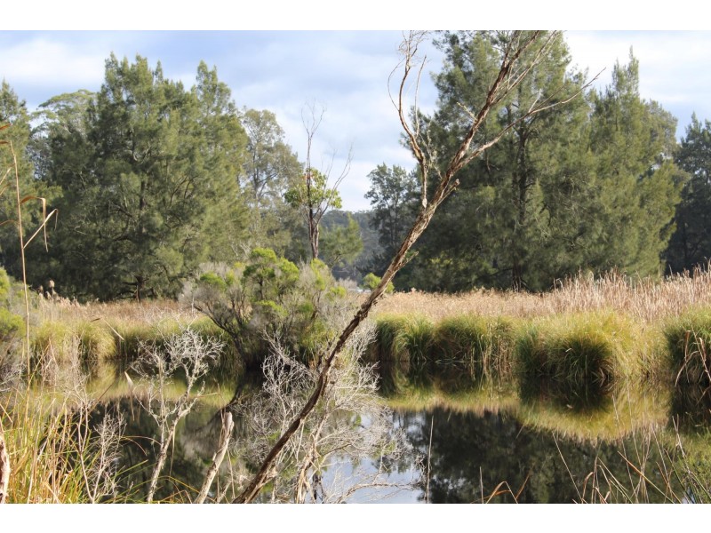 Lot 1 Tathra Bermagui Road, Murrah NSW 2550