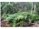Lot 1 Tathra Bermagui Road, Murrah NSW 2550