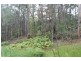 Lot 1 Tathra Bermagui Road, Murrah NSW 2550