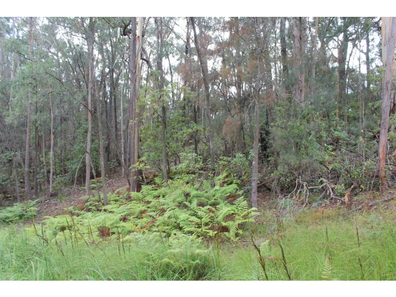 Lot 1 Tathra Bermagui Road, Murrah NSW 2550