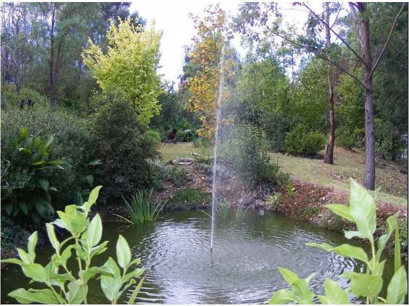 19 Broad Street, Bemboka NSW 2550