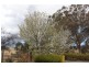 19 Broad Street, Bemboka NSW 2550