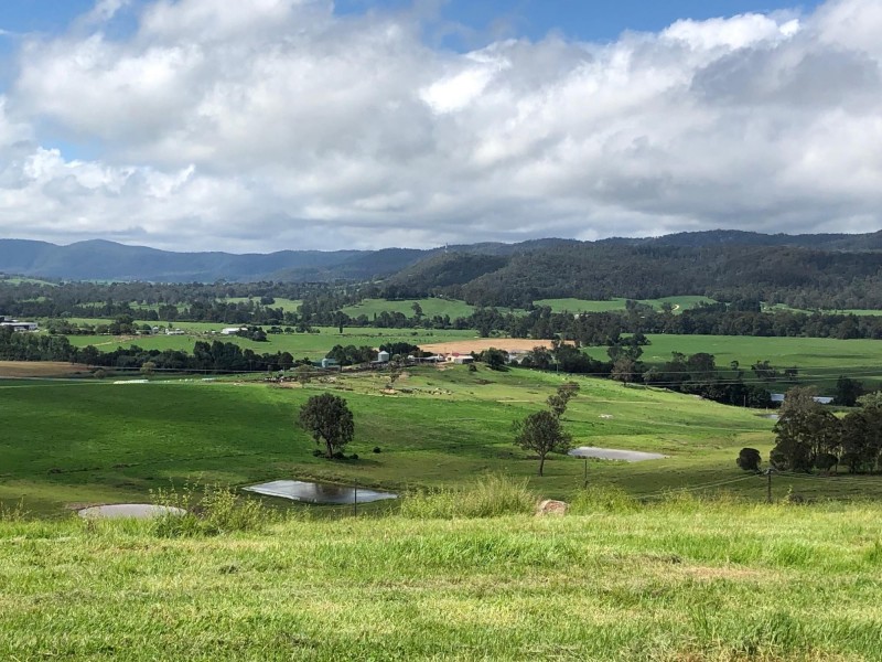“Spanish O Kerrisons Lane, Bega NSW 2550