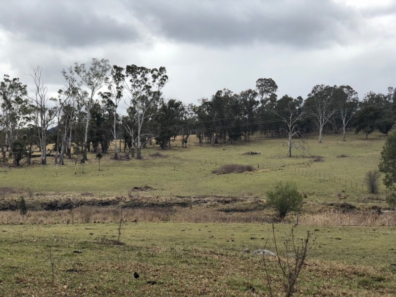 1537 Princes Highway, Wolumla NSW 2550