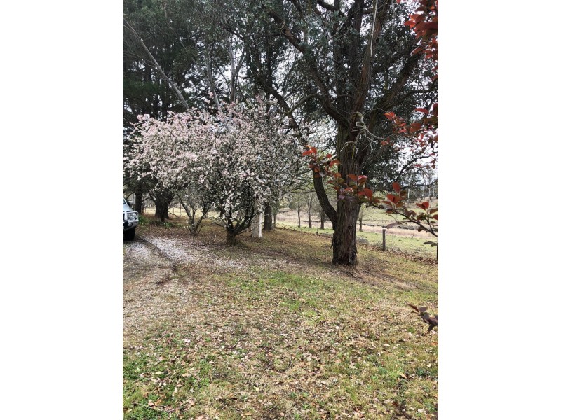 1537 Princes Highway, Wolumla NSW 2550