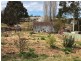 55 Princes Highway, Cobargo NSW 2550