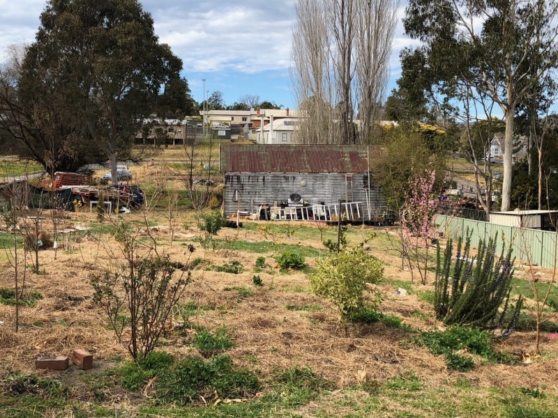 55 Princes Highway, Cobargo NSW 2550
