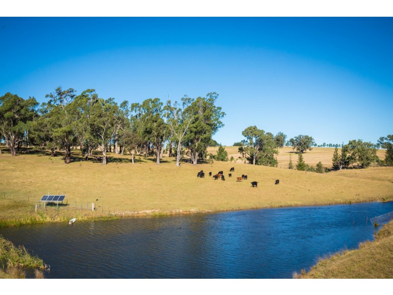 173 Upper Brogo Road, Verona NSW 2550