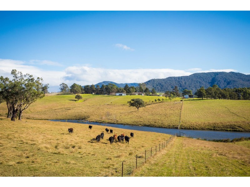 173 Upper Brogo Road, Verona NSW 2550