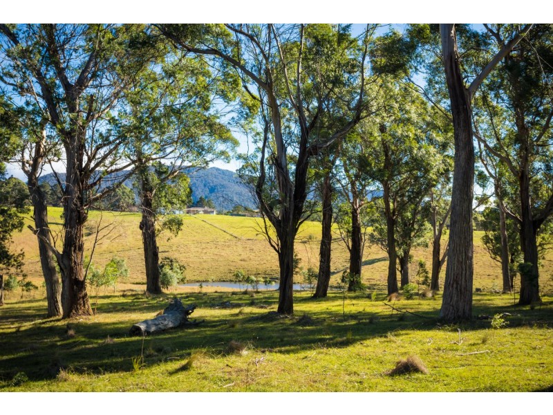 173 Upper Brogo Road, Verona NSW 2550