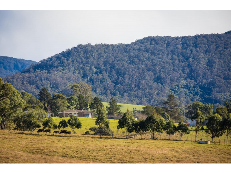 173 Upper Brogo Road, Verona NSW 2550