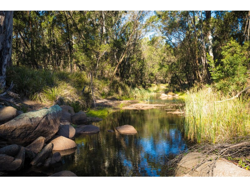 173 Upper Brogo Road, Verona NSW 2550