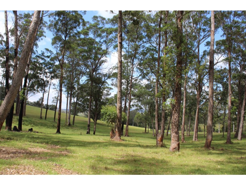 Lot 2 Jersey Place, Cobargo NSW 2550