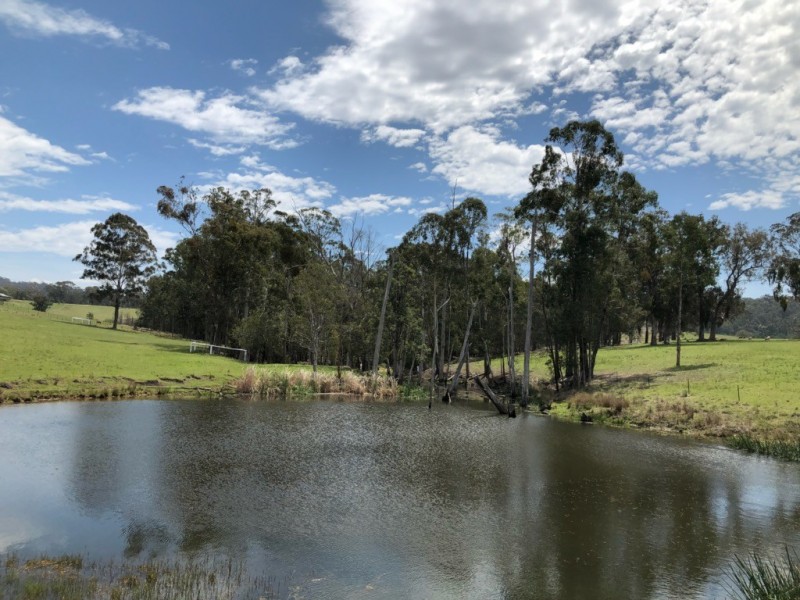 Lot 2 Jersey Place, Cobargo NSW 2550